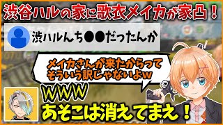 【APEX】渋谷ハルの家に歌衣メイカさんが家凸してきた時のリスナーのコメントが面白すぎるwww【渋谷ハル/切り抜き】