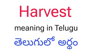 Harvest meaning in telugu || Harvest తెలుగులో అర్థం || Harvest telugu meaning || Harvest meaning