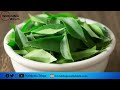 curry leaves health benefits_నెయ్యి ఒక స్పూన్.. అరకప్పు కరివేపాకు రసం