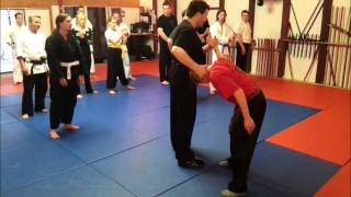 Sifu Dieter Heinsohn - WHKD Kung Fu Promo