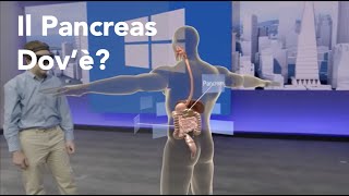 Dov'è il pancreas? Vediamo la sua posizione in una rappresentazione 3d