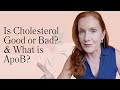 Understanding Your Cholesterol Results | Midlife Wellness with Dr. Susan Hardwick-Smith