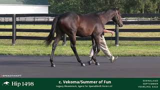 Hip #1498 - Colt by Vekoma - Summer of Fun