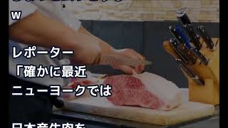 米国の日本批判番組で「こんな小さいステーキが３００ドル？笑わせないでくれ！」パクッ⇒表情一変⇒その後の一言がｗｗ【外国人の和む話】