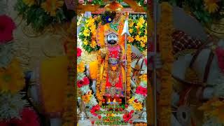 ramapir Mitra mandal savainagar | pargat piranu naklang dham savainagar | jay ramapir