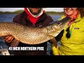 monsters on a fly saskatchewan pike fishing