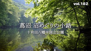 【2023東北初夏の旅】新緑の蔦沼 沼めぐりの小路【十和田八幡平国立公園】