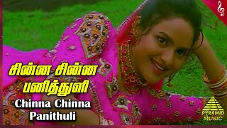 Chinna Chinna Video Song | Panchalankurichi Movie Songs | Prabhu | Madhoo | Deva | Pyramid Music