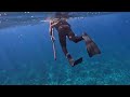 spearfishing in the middle of the ocean with tiger sharks blacktip sharks land nowhere to be found