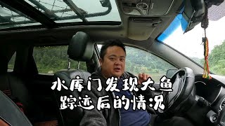 发现门板大鱼踪迹后不断下雨，宇哥分享些经验，大家建议怎么办