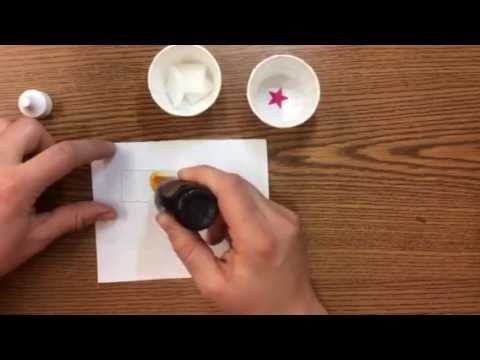 What is the purpose of adding iodine solution to the onion slide preparation?