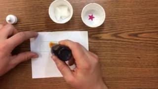 Iodine stained onion cell