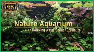 Nature Aquarium 4K (ULTRA HD) Planted tank with water sound for Sleeping アクアリウム/熱帯魚/自然音/睡眠用/リラックス/癒し