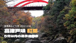 【高津戸峡】紅葉の遊歩道を散歩で2022年11月20日撮影　群馬県みどり市