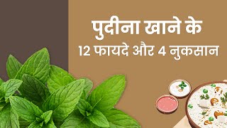 पुदीना खाने के फायदे और नुकसान | Mint Benefits, Side Effects \u0026 How to Eat in Hindi