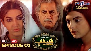 Seep Episode 1 | TV One Drama | Shahroz Sabzwari | Sana Fakhar | TV One Classics #SeepEpisode1