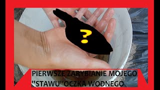 pierwsze zarybianie mojego ''stawu'' oczka wodnego