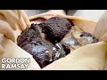 Gordon Ramsay Amazed By Caviar Farm | Gordon Ramsay