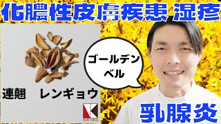 【漢方薬】連翹（レンギョウ）1分で分かる生薬解説　～改訂版～