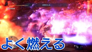 【MHW実況】歴戦王ナナは強い(再認識)　チャージアックス　ソロ