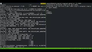 Reverse TCP shell authentication with strace