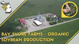 Bay Shore Farms: Organic Soybean Production | Michigan Soybean