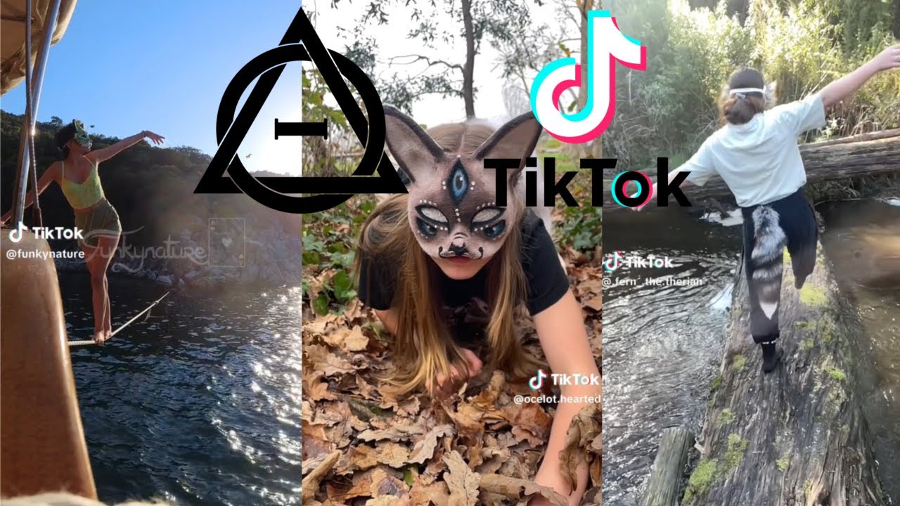 Therian And Quadrobics Tiktoks Compilation рџђѕрџќ Alterhumans Of