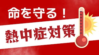 【これは見て！】猛烈な暑さに負けない熱中症対策