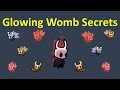 HOLLOW KNIGHT - Glowing Womb Interactions