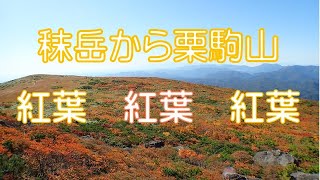 紅葉の秣岳から栗駒山　（2022年9月30日）