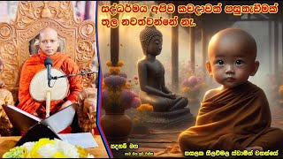 සද්ධර්මය අපිව කවදාවත් පසුතැවීමක් තුල නවත්වන්නේ නෑ.2119Ven Hasalaka Seelawimala Thero