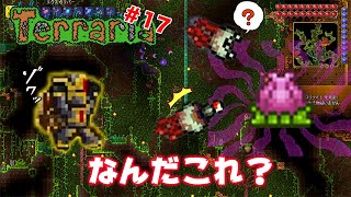 【初見実況】ハードな世界でジャングルを散歩しよう！ テラリア 第17夜【Terraria ver.1.4 日本語化MOD導入版】