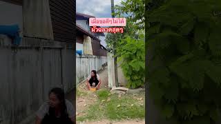 ผัวฉลาดสุดๆ #เฮฮา #comedy #สนุกสนาน #funny #ตลก #เพื่อความบันเทิง #ผัวเมีย