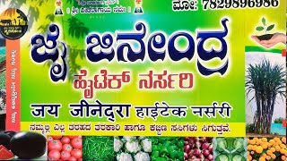 ಸಸ್ಯಗಳ ಲಭ್ಯತೆ: ಉತ್ತಮ ನರ್ಸರಿಗಳ ಮಾಹಿತಿ