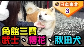 日本東北｜秋田角館｜武家屋敷有三寶，武士、櫻花、秋田犬