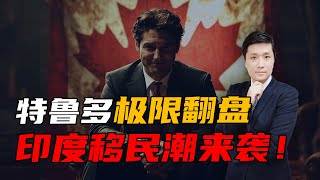 特鲁多极限翻盘，印度移民潮来袭！加拿大自由党继续执政？移民加拿大何去何从？