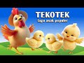 TeKotek Kotek - Anak Ayam Tekotek - Lagu Anak Anak Populer