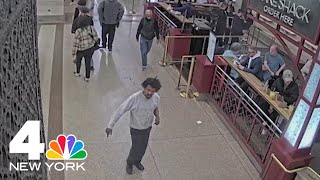9-year-old girl punched in face by repeat Grand Central attacker: police | NBC N