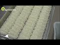 inside the food industry incredible process worth watching automated machine