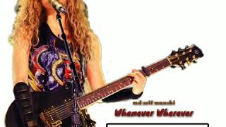 Shakira Whenever Wherever (Audio El Dorado World Tour Live)(720p)