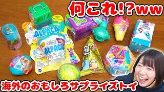 まさかの出るぞ系スクイーズ!? 海外で見つけたサプライズトイが面白すぎた！！w【大量】