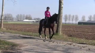 Nieuwe Bit hoofdredacteur Dorien van Dijk stelt zich voor!