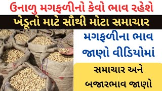 ઉનાળુ મગફળીના ભાવતાલ કેવા રહેશે | મગફળી નો ભાવ | બજારભાવ | magfali no bhav | bajarbhav | magfali