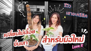 เปลี่ยนกระถางไม้เลื้อยสำหรับมือใหม่