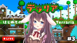 【Terraria】はじめてのテラリアに初心者が楽しくてハマってる【実況/Switch】3日目