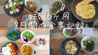 【妊娠6ヶ月(22週)】2日間の食事記録/体重増加中/やめられない食後のアイス/散歩