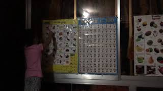 ព្យញ្ជនះ ៣៣ តួ ព្យញ្ជនះ ៣៣ តួ