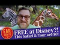 FREE at Disney World?! Go Wild at Animal Kingdom Lodge with a Free Safari, Tour & Fun Activities