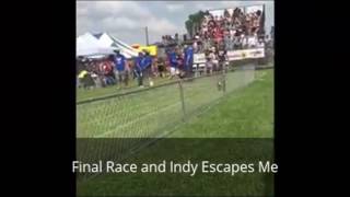 Buda Wiener Dog Races 2015 - Buda, TX