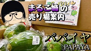 【まる子姉】#パパイヤ#島野菜#おうちごはん